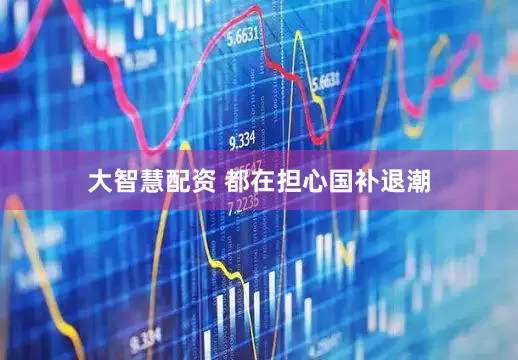大智慧配资 都在担心国补退潮