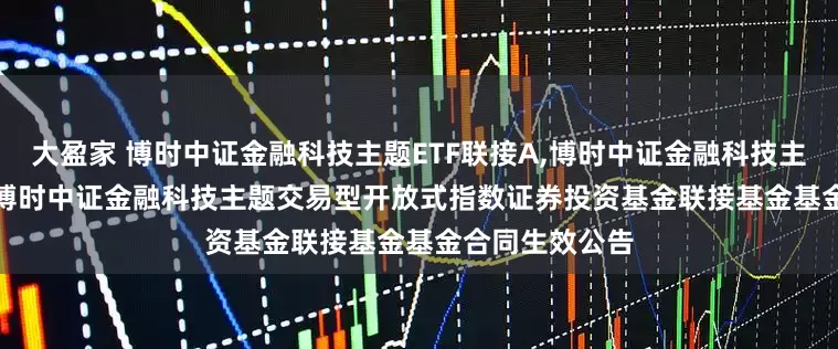 大盈家 博时中证金融科技主题ETF联接A,博时中证金融科技主题ETF联接C: 博时中证金融科技主题交易型开放式指数证券投资基金联接基金基金合同生效公告