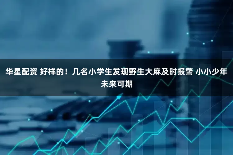 华星配资 好样的！几名小学生发现野生大麻及时报警 小小少年未来可期