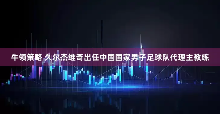 牛领策略 久尔杰维奇出任中国国家男子足球队代理主教练