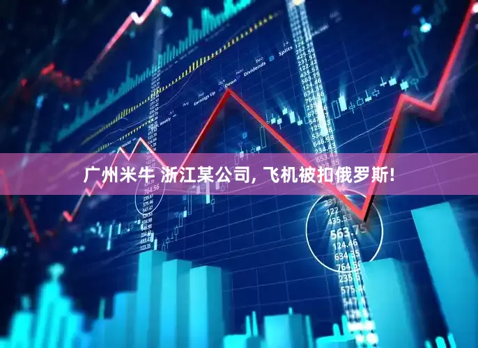 广州米牛 浙江某公司, 飞机被扣俄罗斯!