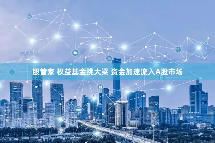 股管家 权益基金挑大梁 资金加速流入A股市场