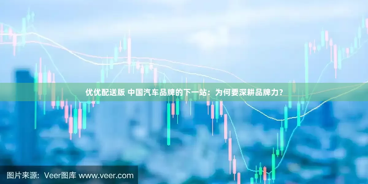 优优配送版 中国汽车品牌的下一站：为何要深耕品牌力？