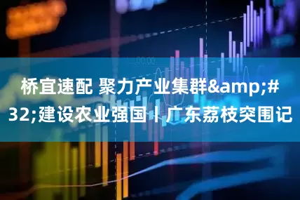 桥宜速配 聚力产业集群&#32;建设农业强国丨广东荔枝突围记