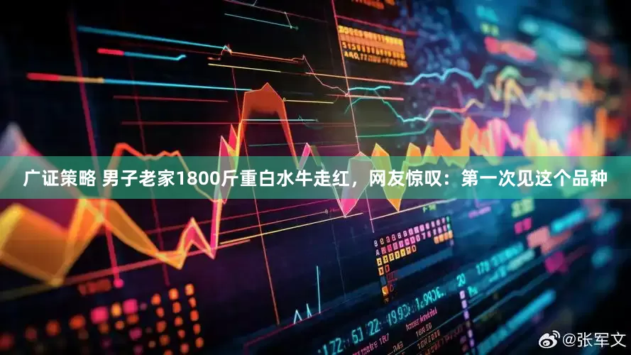 广证策略 男子老家1800斤重白水牛走红，网友惊叹：第一次见这个品种