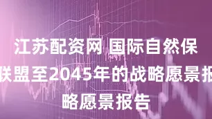江苏配资网 国际自然保护联盟至2045年的战略愿景报告